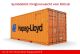 Container 20 ft Hapag Loyd braun